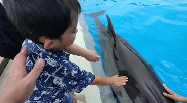 南知多ビーチランド＆南知多おもちゃ王国に投稿された画像（2024/7/14）