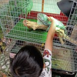 いきもの探検隊上尾に投稿された画像（2024/7/15）