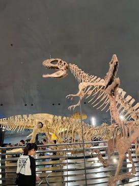 東映太秦映画村に投稿された画像（2024/7/14）