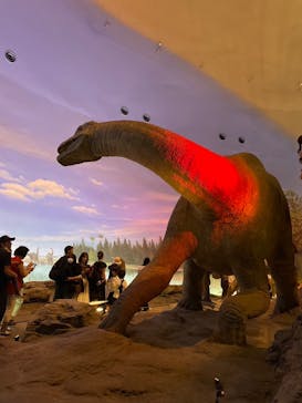 東映太秦映画村に投稿された画像（2024/7/14）