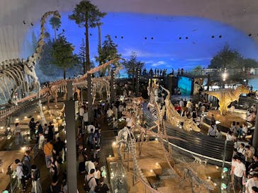 東映太秦映画村に投稿された画像（2024/7/14）