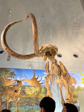 東映太秦映画村に投稿された画像（2024/7/14）