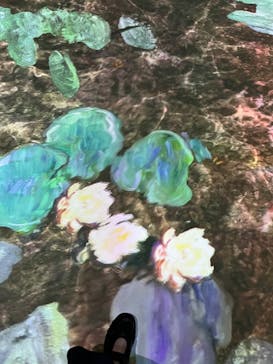 モネ＆フレンズ・アライブに投稿された画像（2024/7/14）