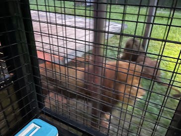 那須サファリパークに投稿された画像（2024/7/14）