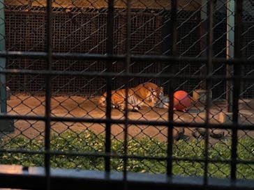 那須サファリパークに投稿された画像（2024/7/14）