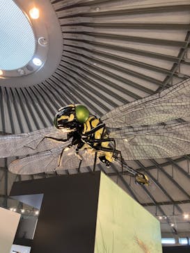 滋賀県立琵琶湖博物館に投稿された画像（2024/7/14）