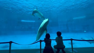 名古屋港水族館に投稿された画像（2024/7/14）