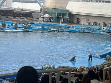 名古屋港水族館に投稿された画像（2024/7/14）