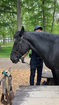 ノーザンホースパークに投稿された画像（2024/7/14）