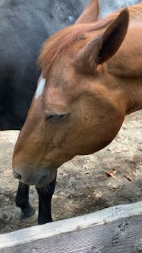 ノーザンホースパークに投稿された画像（2024/7/14）