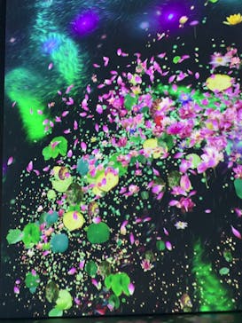 モネ＆フレンズ・アライブに投稿された画像（2024/7/14）