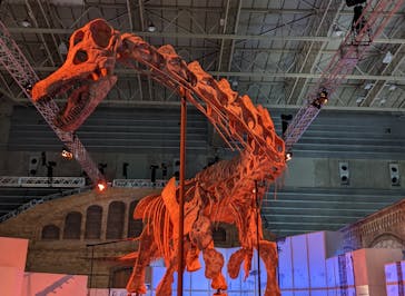 巨大恐竜展2024に投稿された画像（2024/7/14）