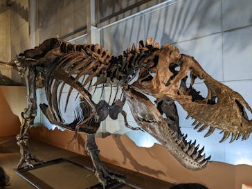 巨大恐竜展2024に投稿された画像（2024/7/14）
