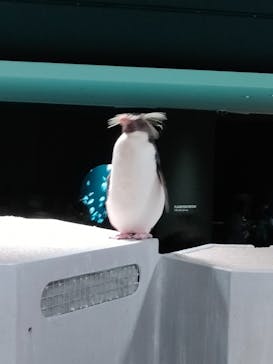 AOAO SAPPOROに投稿された画像（2024/7/14）