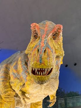 福井県立恐竜博物館に投稿された画像（2024/7/14）