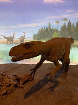 福井県立恐竜博物館に投稿された画像（2024/7/14）