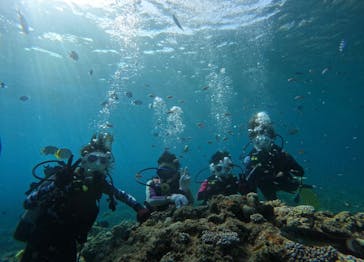 沖縄マリンサービス碧に投稿された画像（2024/7/14）