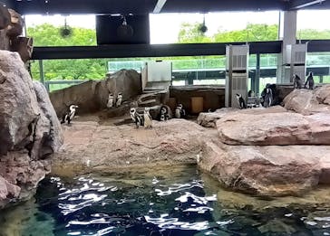 京都水族館に投稿された画像（2024/7/14）