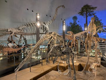 福井県立恐竜博物館に投稿された画像（2024/7/15）