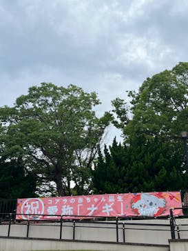 淡路ファームパーク イングランドの丘に投稿された画像（2024/7/15）