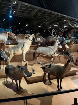 国立科学博物館に投稿された画像（2024/7/15）