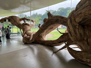 金沢21世紀美術館に投稿された画像（2024/7/15）