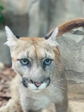 神戸どうぶつ王国に投稿された画像（2024/7/15）