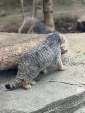 神戸どうぶつ王国に投稿された画像（2024/7/15）