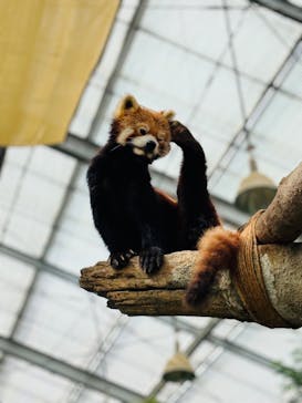 神戸どうぶつ王国に投稿された画像（2024/7/15）