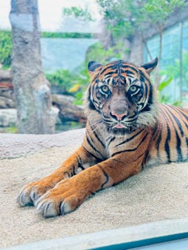 神戸どうぶつ王国に投稿された画像（2024/7/15）