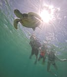 nico 宮古島に投稿された画像（2024/7/15）