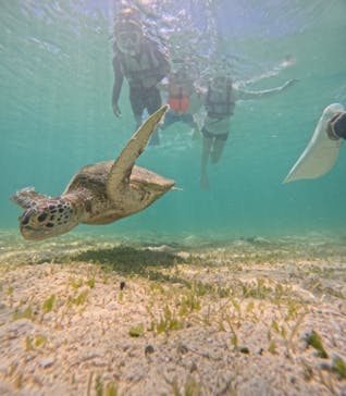 nico 宮古島に投稿された画像（2024/7/15）
