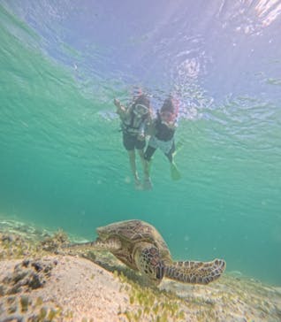 nico 宮古島に投稿された画像（2024/7/15）