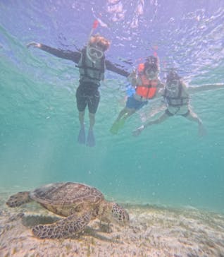 nico 宮古島に投稿された画像（2024/7/15）