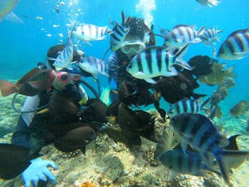 武藤潜水に投稿された画像（2024/7/15）