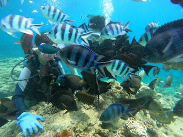 武藤潜水に投稿された画像（2024/7/15）