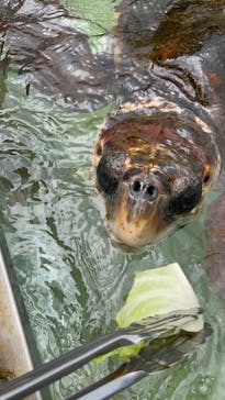 下田海中水族館に投稿された画像（2024/7/15）