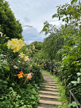 横浜イングリッシュガーデンに投稿された画像（2024/7/15）
