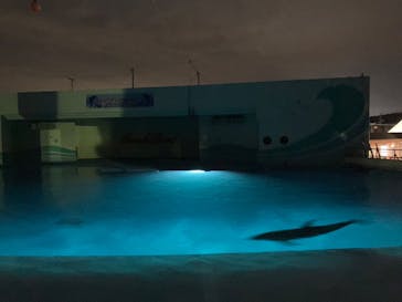 南知多ビーチランド＆南知多おもちゃ王国に投稿された画像（2024/7/15）