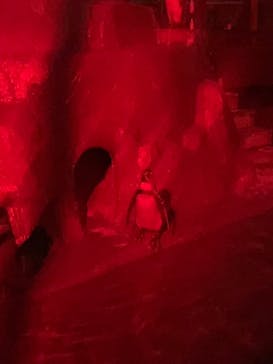 南知多ビーチランド＆南知多おもちゃ王国に投稿された画像（2024/7/15）