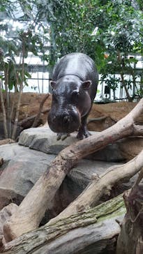 神戸どうぶつ王国に投稿された画像（2024/7/15）