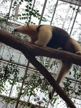 神戸どうぶつ王国に投稿された画像（2024/7/15）