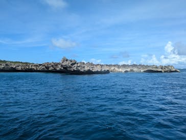 宮古島ダイビングショップ サンアイランドに投稿された画像（2024/7/15）