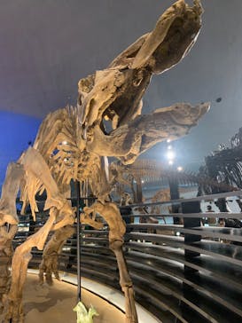 福井県立恐竜博物館に投稿された画像（2024/7/15）
