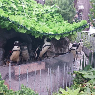 サンシャイン水族館に投稿された画像（2024/7/15）