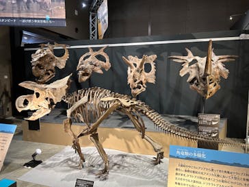 福井県立恐竜博物館に投稿された画像（2024/7/15）