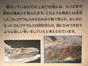 福井県立恐竜博物館に投稿された画像（2024/7/15）