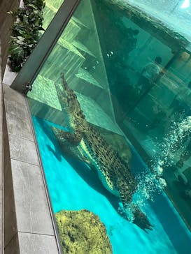 NIFREL（ニフレル）に投稿された画像（2024/7/15）