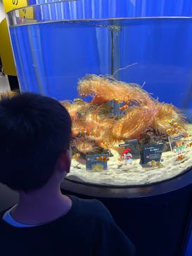 NIFREL（ニフレル）に投稿された画像（2024/7/15）