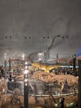 福井県立恐竜博物館に投稿された画像（2024/7/15）